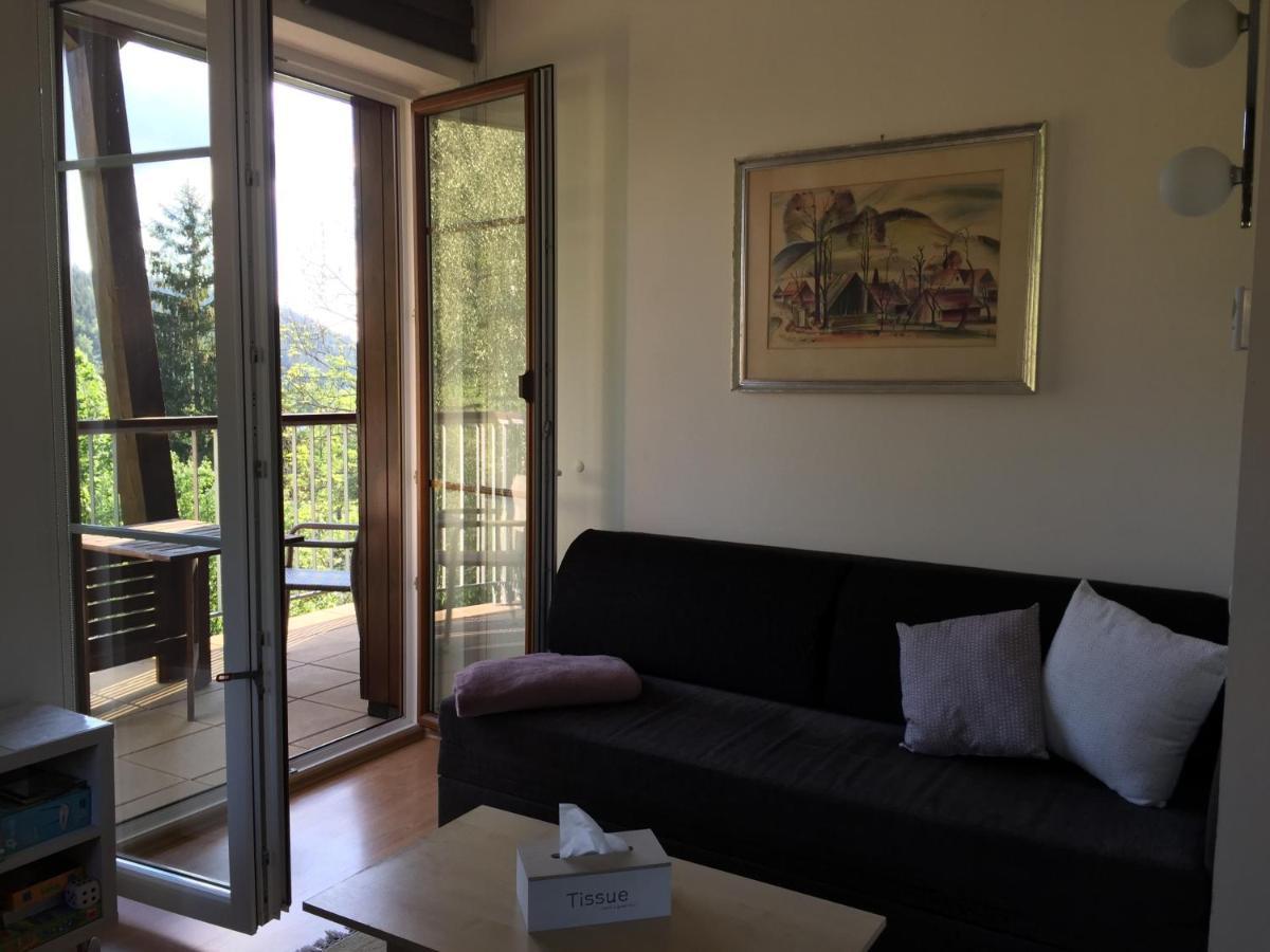 Apartman U Sjezdovky Velke Karlovice Luaran gambar
