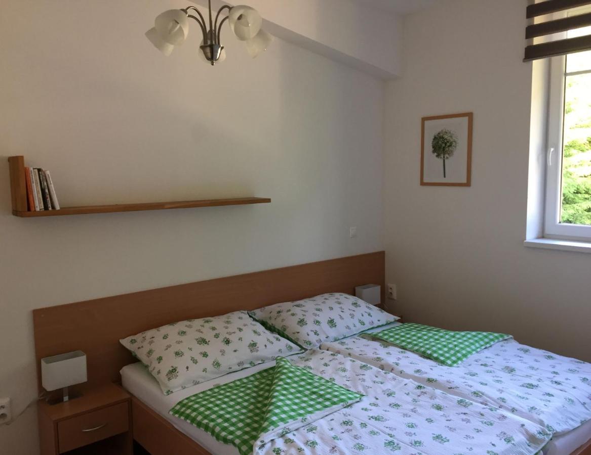 Apartman U Sjezdovky Velke Karlovice Luaran gambar